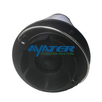 Lubricating System Filter 810-013-785 (2)