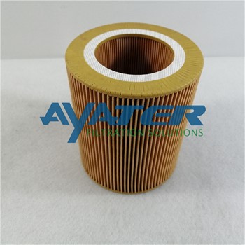 2205106802 Filtru tal-Arja