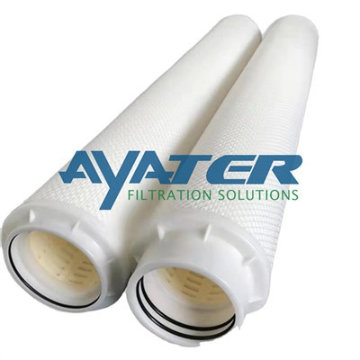 Rscp 100-40 Epp High Fluss Filter Cartridge