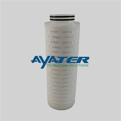 Skartoċċ tal-Filtru tal-Membrana 25-10110-002-12-WE